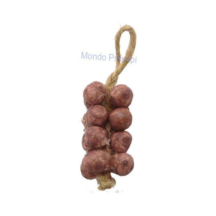 Onion strain
