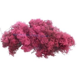 Liquen rojo oscuro 50 gr