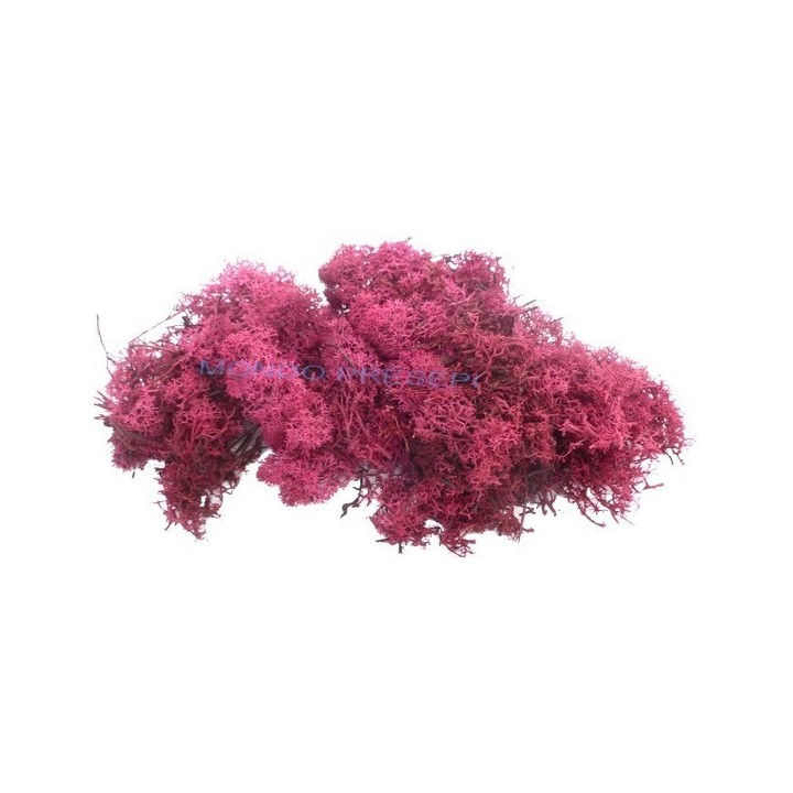 Liquen rojo oscuro 50 gr