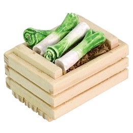 Cassetta con porri cm 3,5x2,5x2,2 h