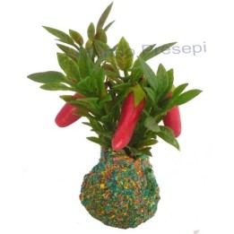 Plant with red peppers