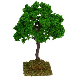 Roble cm 14 h