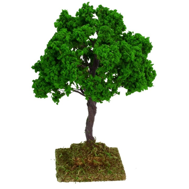 Quercia cm 14 h