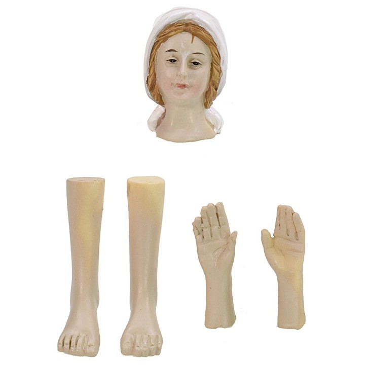 Cabeza, manos, pies Natividad cm 14-15 h