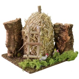 Chicken coop with hens for creche 16x14x15 h