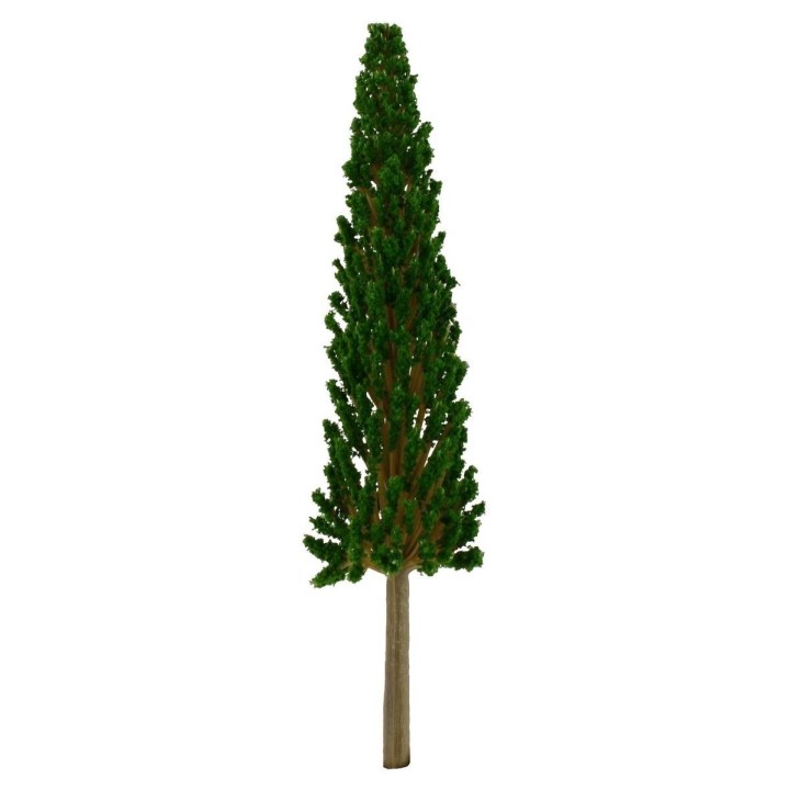 Ciprés sin base 17 cm