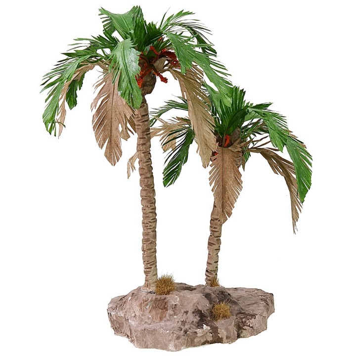 Double bicolor palm 25-19 cm h