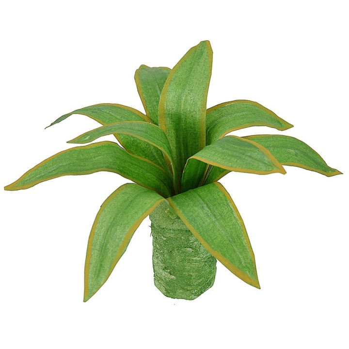 Agave modellabile 10 cm