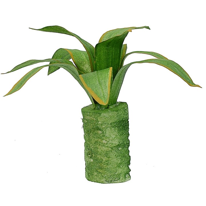 Agave modellabile 10 cm