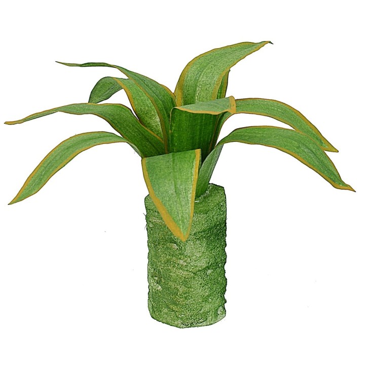 Agave moldeable 10 cm