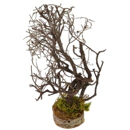 Albero con rami cm 5x5x19 h