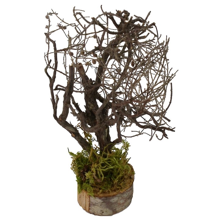 Albero con rami cm 5x5x19 h