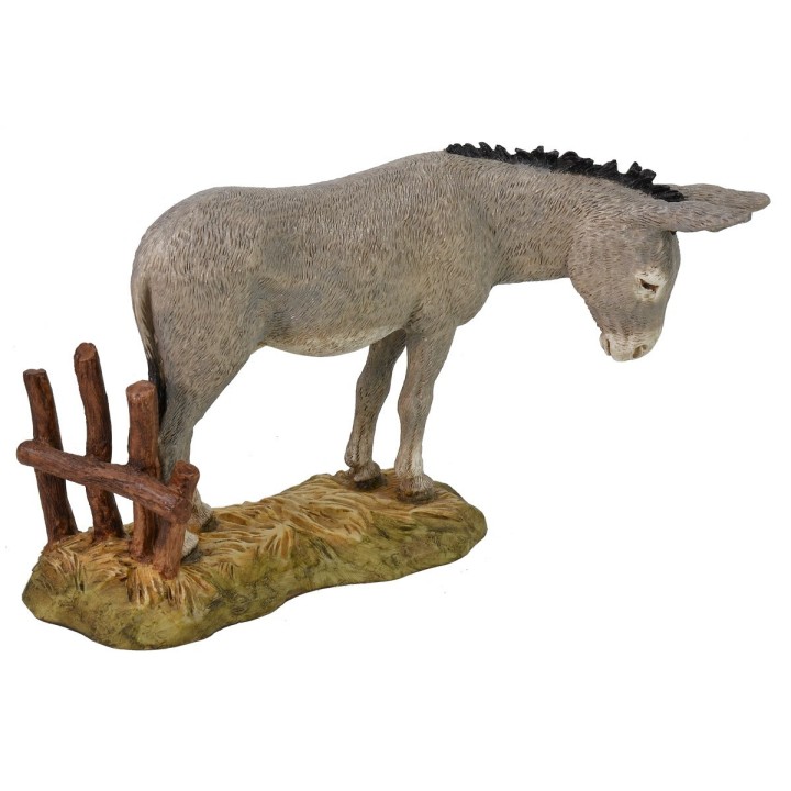 Asino Landi Moranduzzo serie 18 cm.