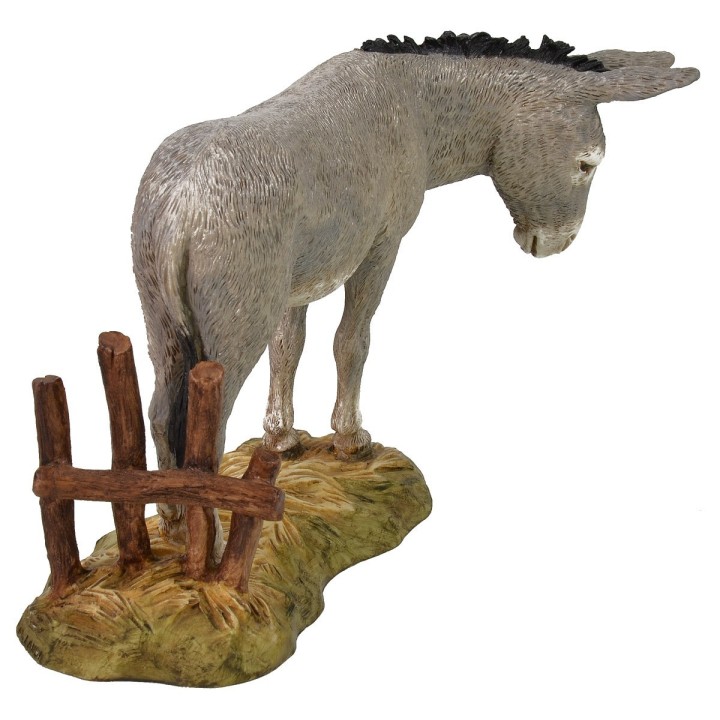 Asino Landi Moranduzzo serie 18 cm.