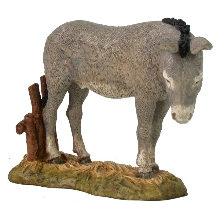 Asino Landi Moranduzzo serie 18 cm.