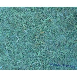 Carta muschio cm 75x50