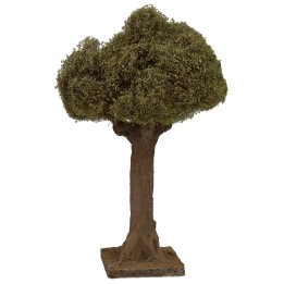 Olivo altura 20 cm