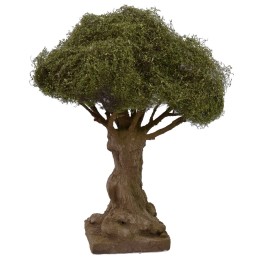 Secular olive tree height cm 21 h
