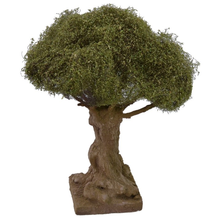 Secular olive tree height cm 21 h