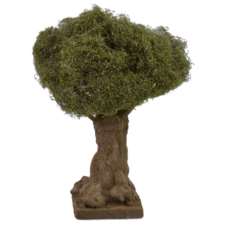 Secular olive tree height cm 21 h