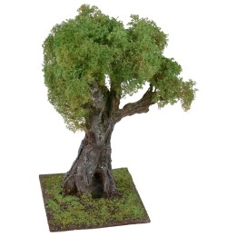 Olivo secolare cm 35 h