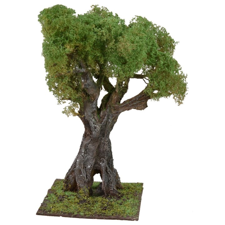 Secular olive tree cm 35 h