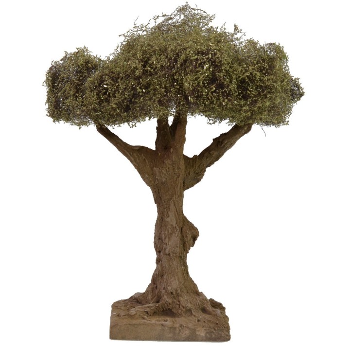 Olive tree height cm 17,5 h