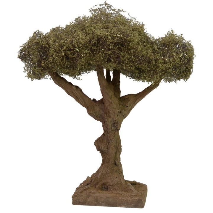 Olive tree height cm 17,5 h