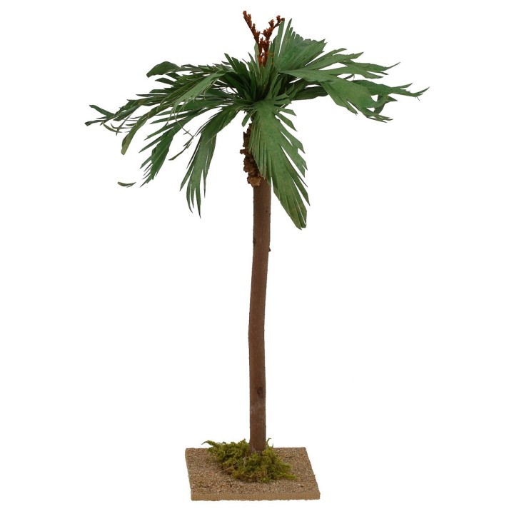 Palma with base h 28 cm