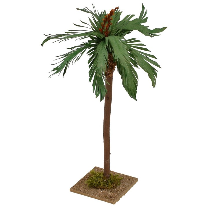 Palma with base h 28 cm