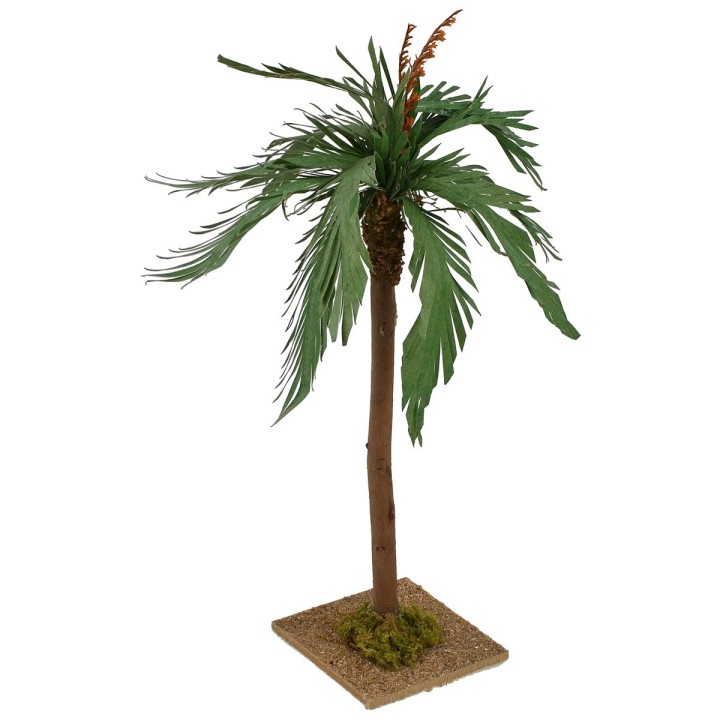 Palma with base h 28 cm