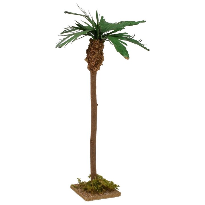 Palma with base h 22 cm