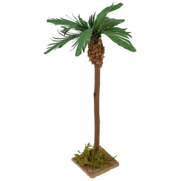 Palma with base h 22 cm