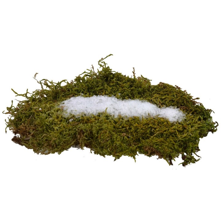 Nieve helada 200 gramos