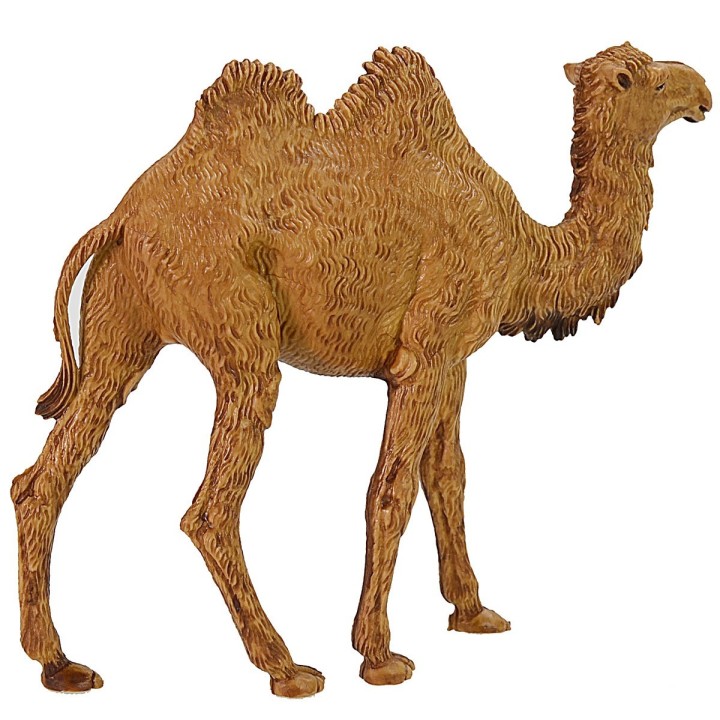 Camello Landi Moranduzzo para estatuas de 10 cm