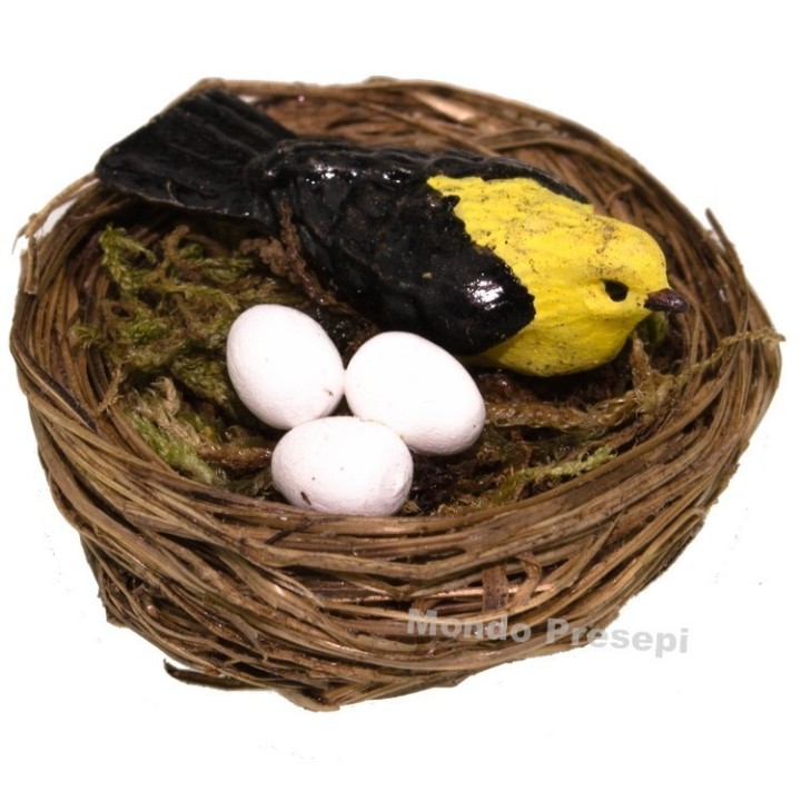 Nido con uccello e uova - colori assortiti