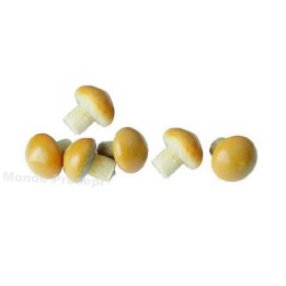Set 5 funghi