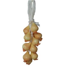 Ceppo di cipolle