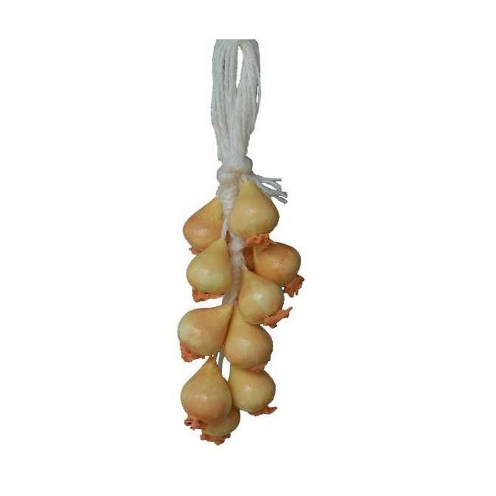 Onion strain