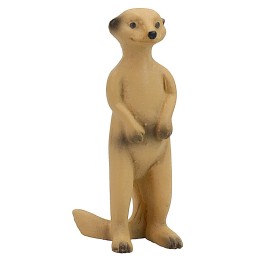 Suricata cm 3,6 h