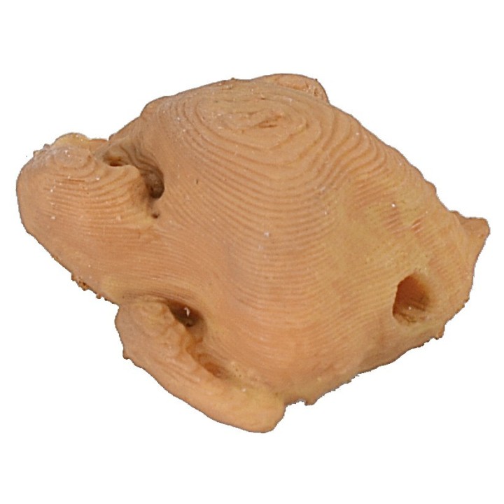 Pollo 1,7x2,3x1,2 h