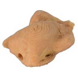 Chicken 1.7x2.3x1.2h