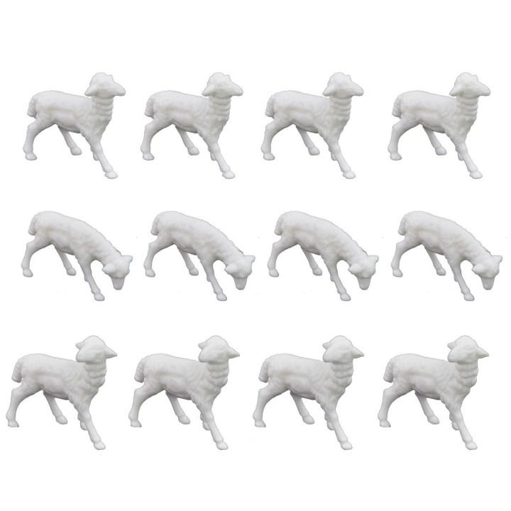 Set 12 Sheep cm 4x3 - Cod. 