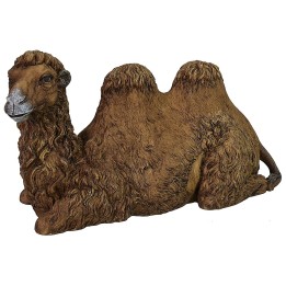 Cammello seduto con testa girata in resina serie 30 cm Pigini