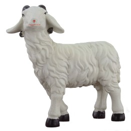 Montone testa alta per statue 30 cm
