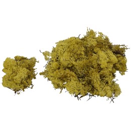 Lichene giallo-verde 500 gr - Cod. 