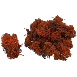 Lichene marrone 1 kg - Cod. 