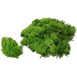 Lichene verde 1 kg - Cod. 