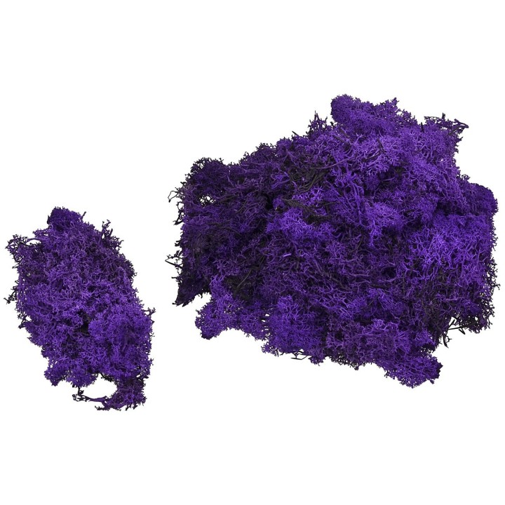 Líquenes violetas disponibles en bolsas de: