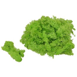 Lichene verde chiaro 50 gr.